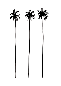 https://www.hotelnational.paris/media/330/logo_palmier_BELLE_PLAGE.png